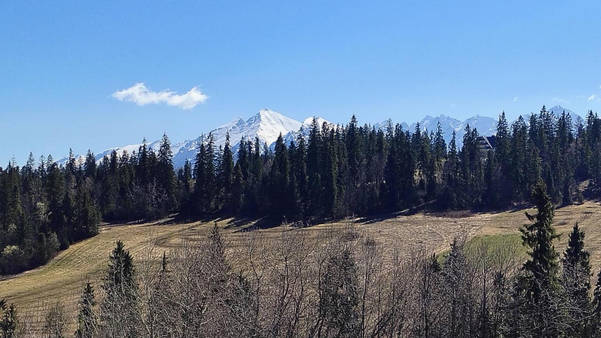 Pokoje Goscinne U Basi Bukowina Tatrzańska Dış mekan fotoğraf